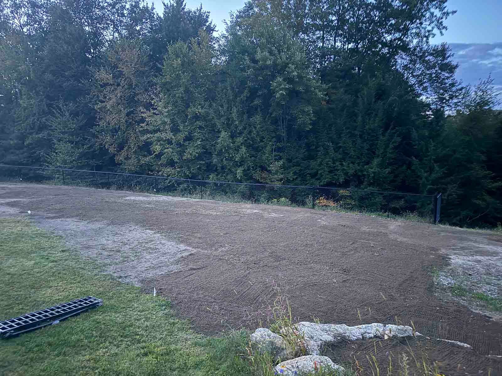 Grassy yard with a bare dirt patch and trees along the edge