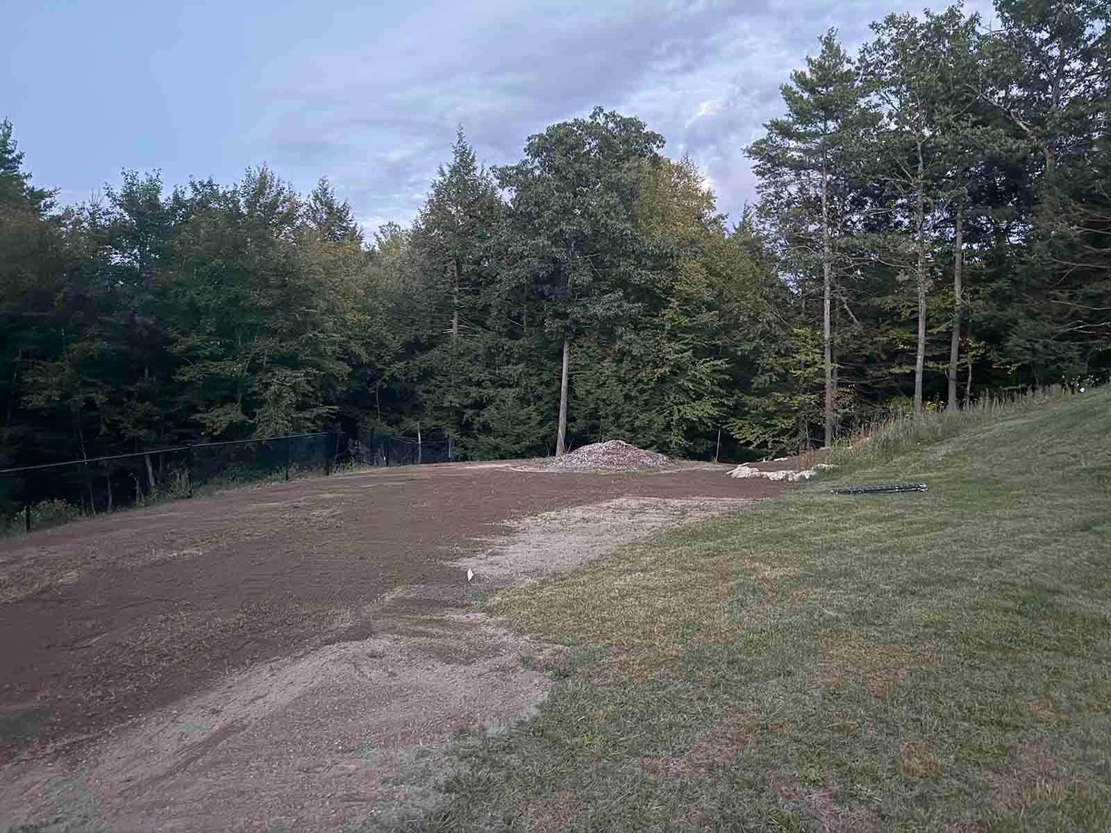 Dirt path curving through a grassy clearing with trees and a cloudy sky