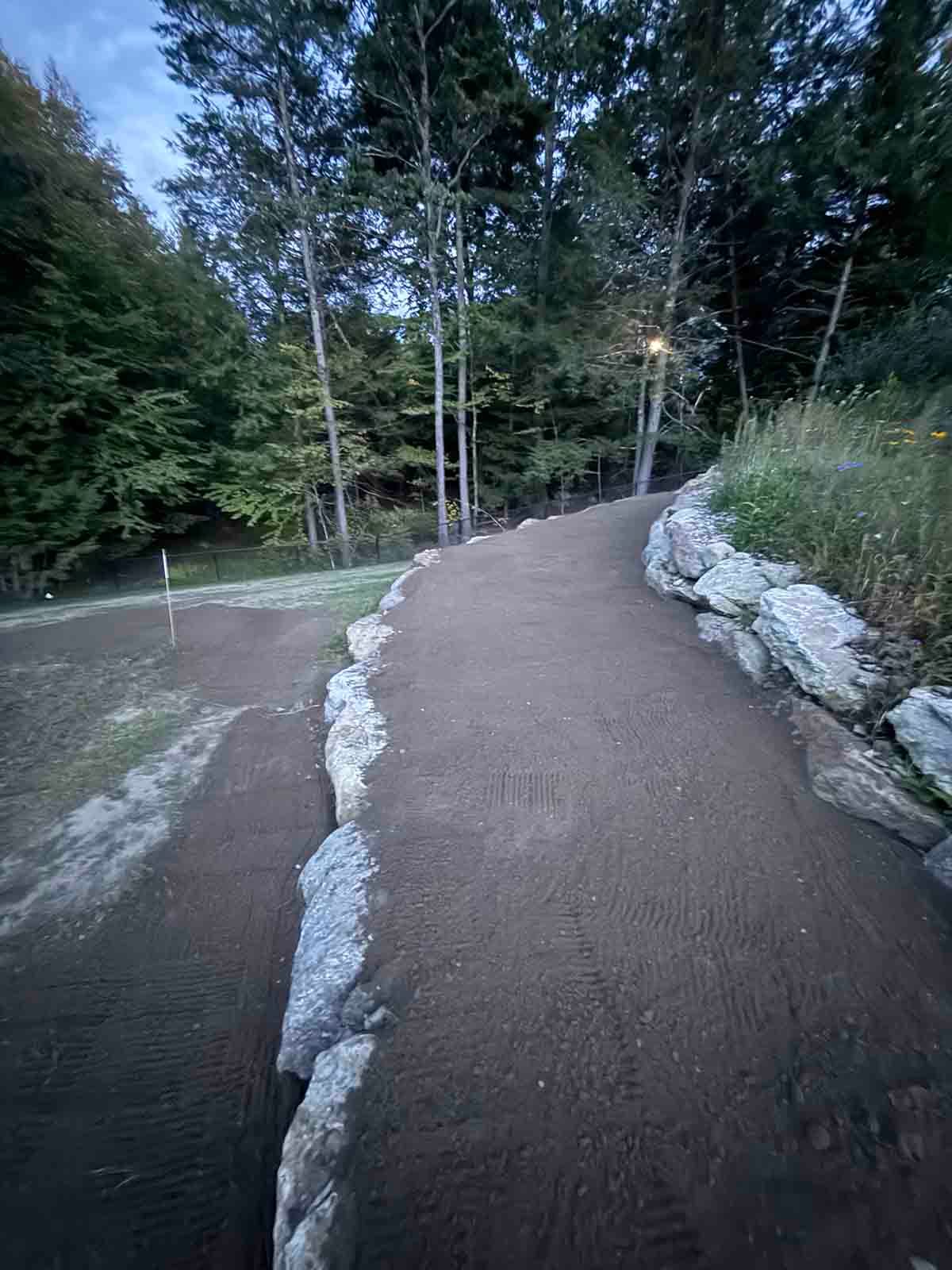 Forest trail with a paved path, white rocks edging the sides, and tall trees at dusk