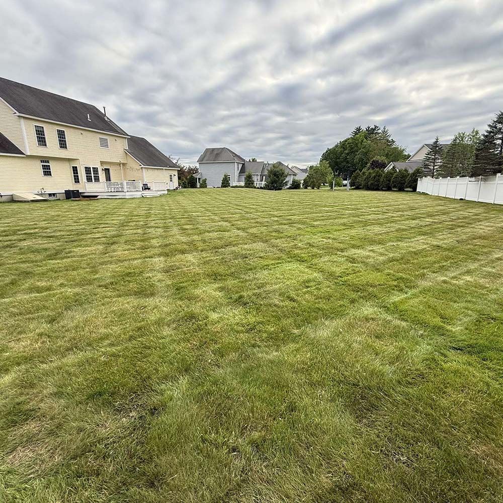 D&D Landscaping LLC
