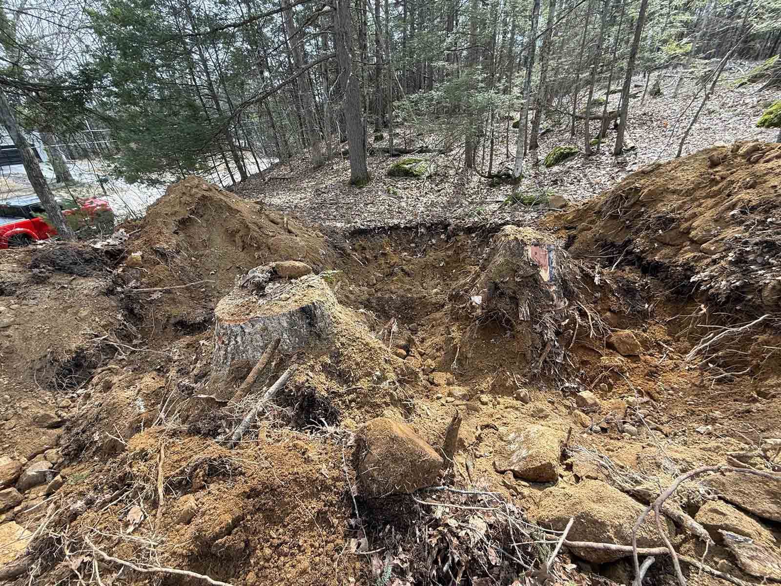 Collapsed dirt hillside with exposed roots and trees in a wooded area, with a red vehicle partly visible at left.