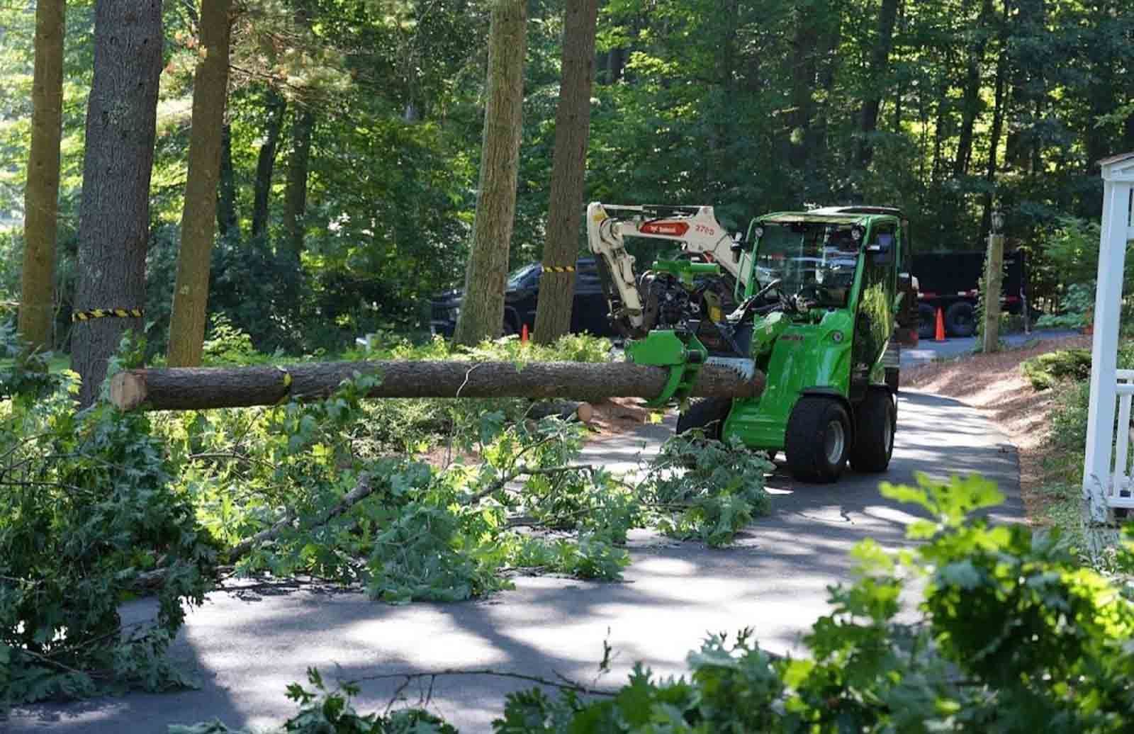 Green loader moving a large tree trunk along a wooded driveway
