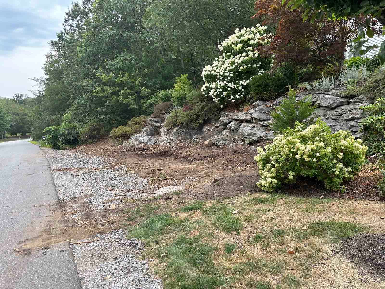 Roadside with rocky embankment, green shrubs, and blooming white flowers along a curved road.