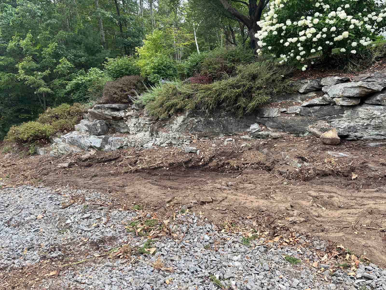 Rocky garden slope with gravel path and white flowering shrub amid trees