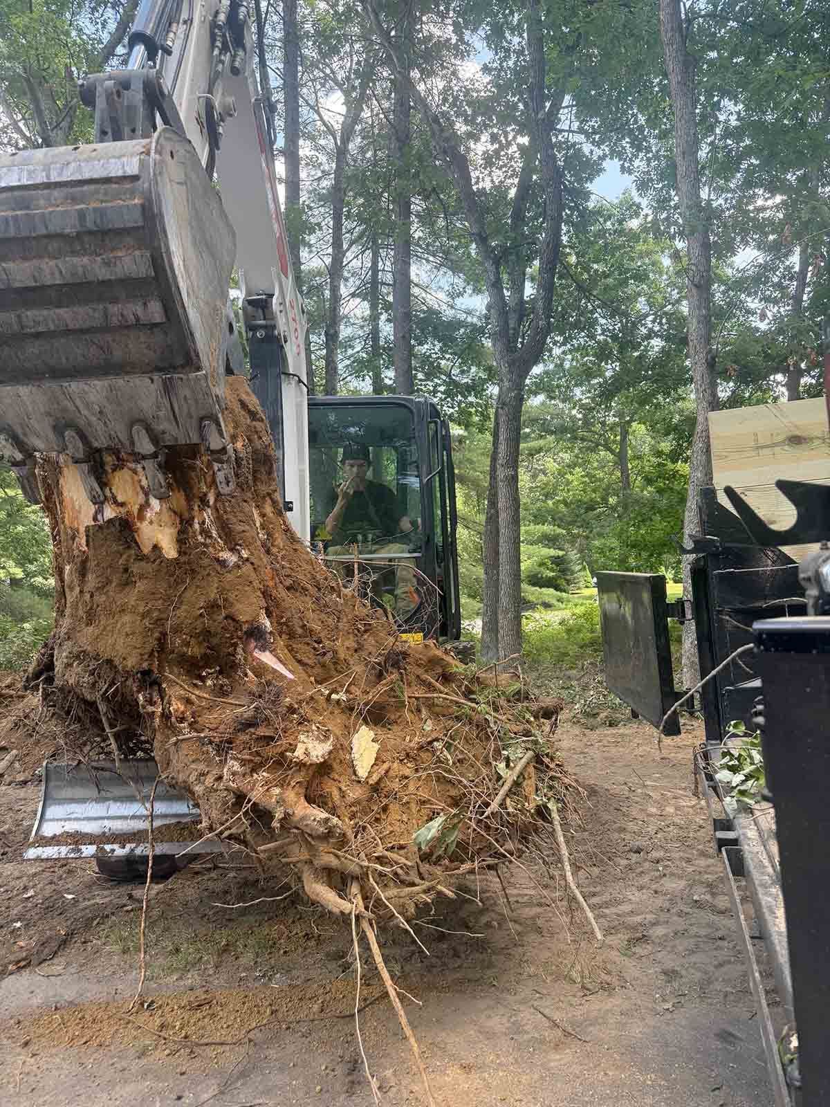 Excavator lifting a large root ball of soil in a wooded area, with another machine nearby.