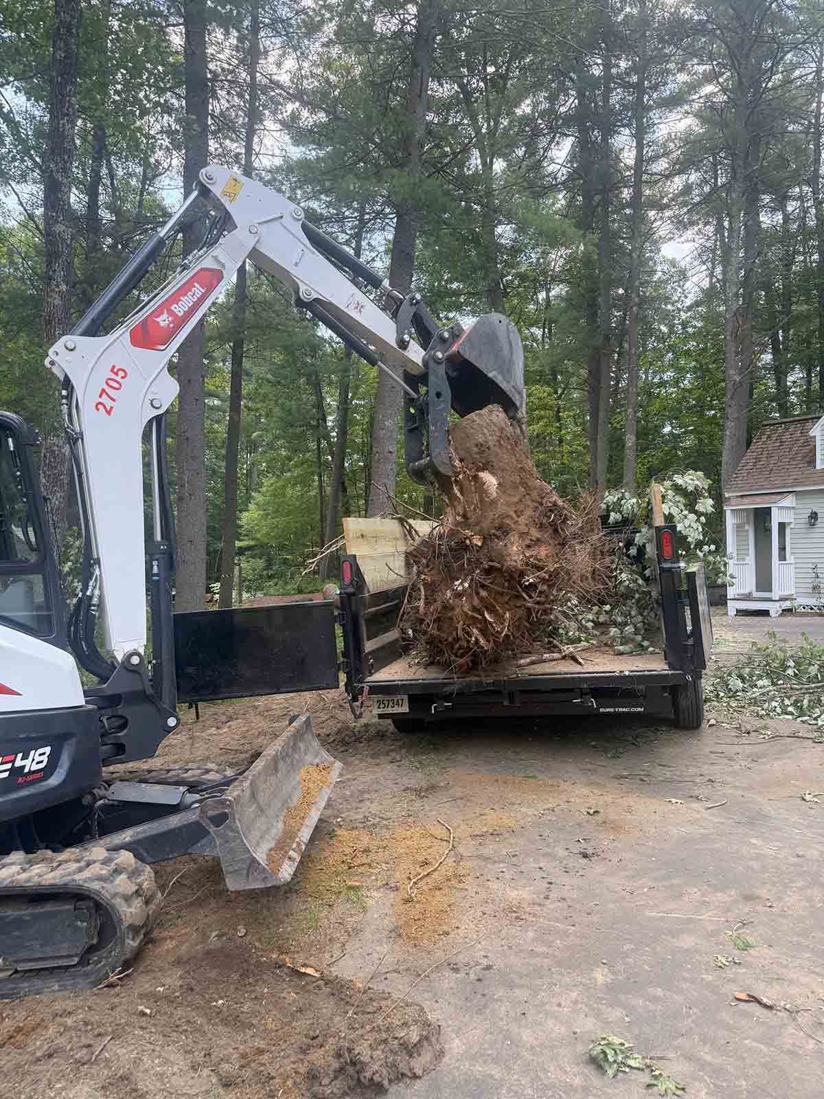 Excavator loading a pile of debris into a dump trailer in a wooded driveway.