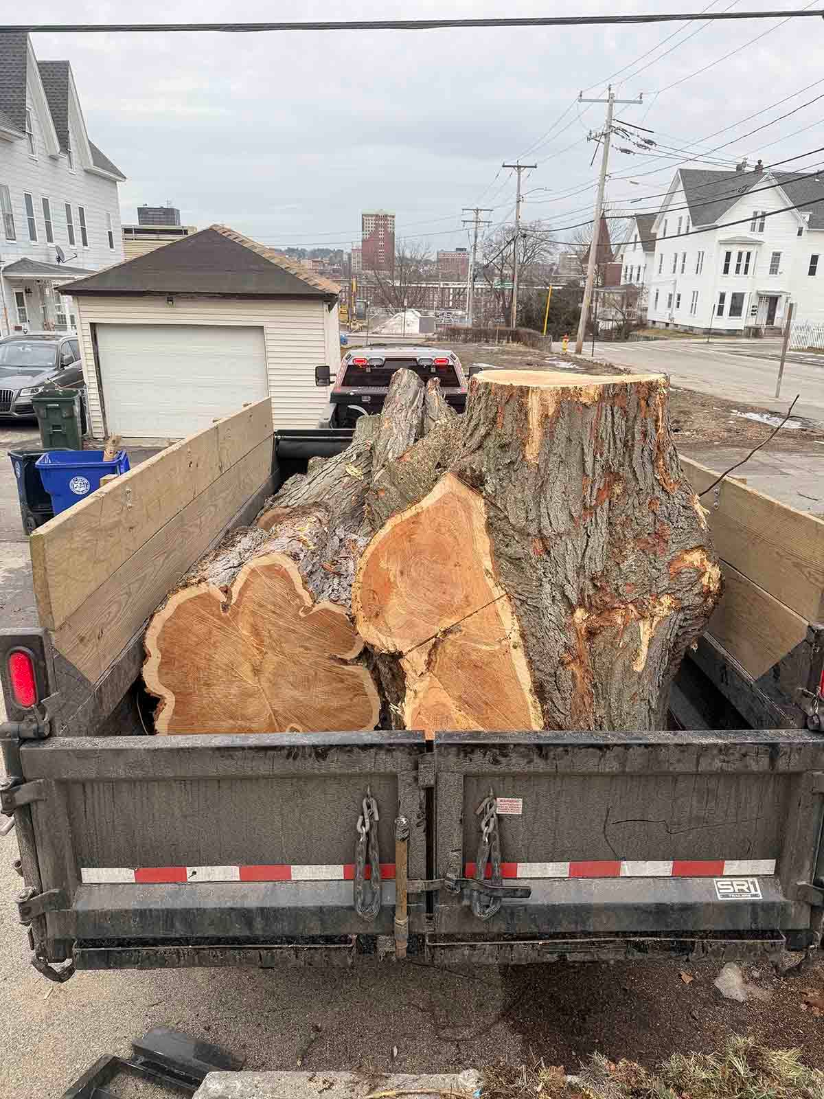 Dump trailer loaded with large tree trunk sections on a residential street.
