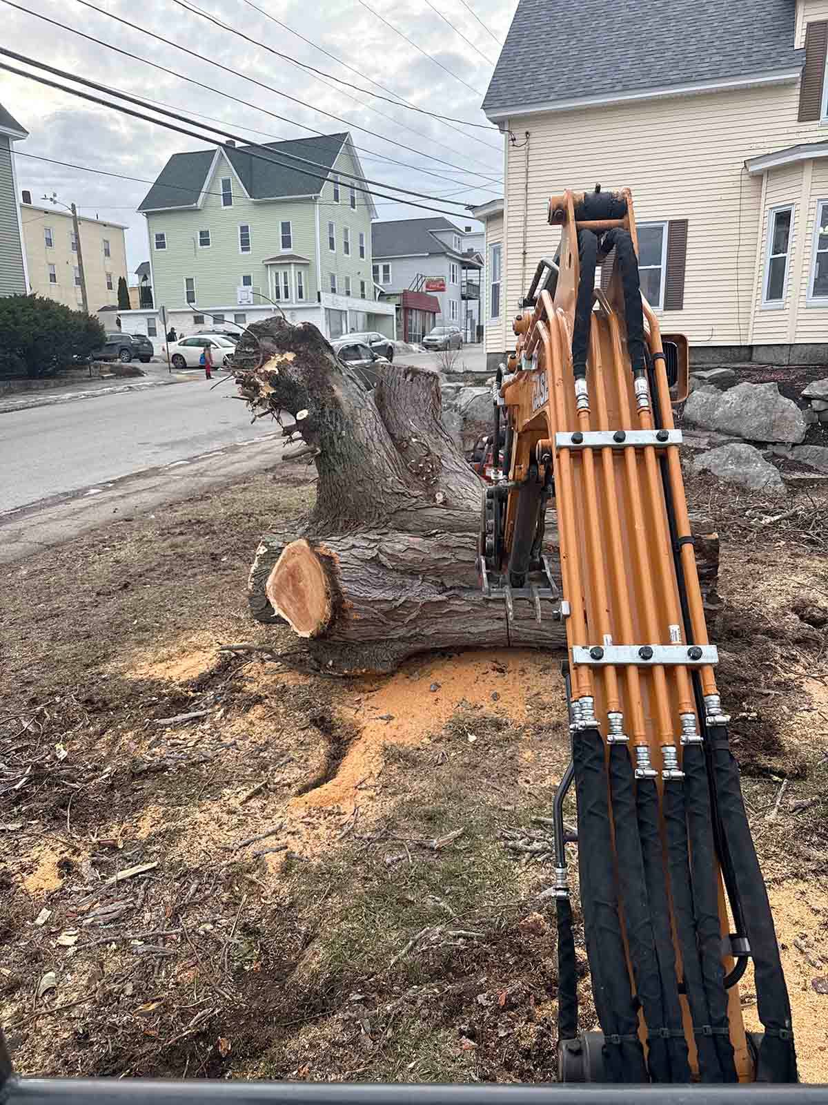 Tree stump by a curb with stacked wooden poles and a street in the background