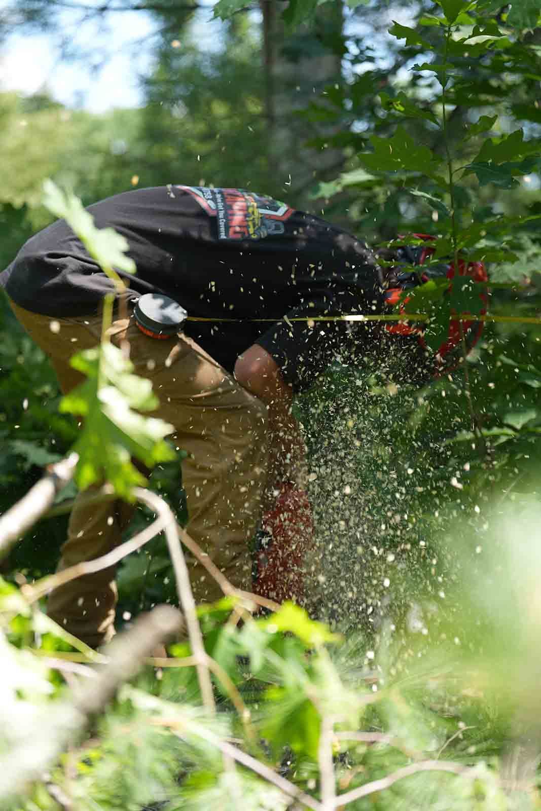 Person spraying water in a green wooded area