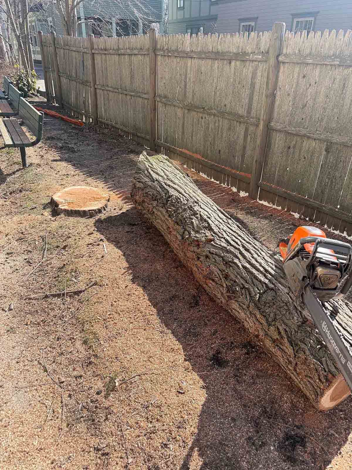 Backyard with a fallen tree trunk beside a fence and a chainsaw on the ground