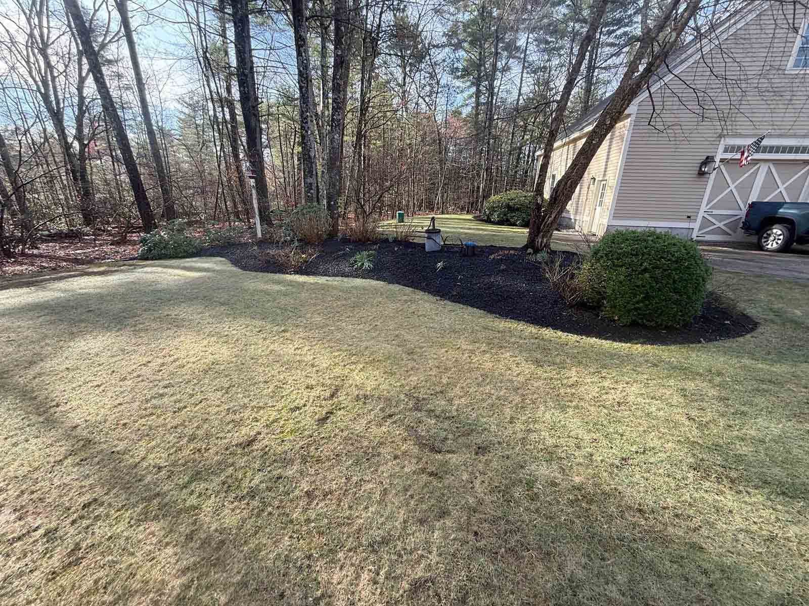 Backyard lawn with trees, shrubs, and a house side in the background