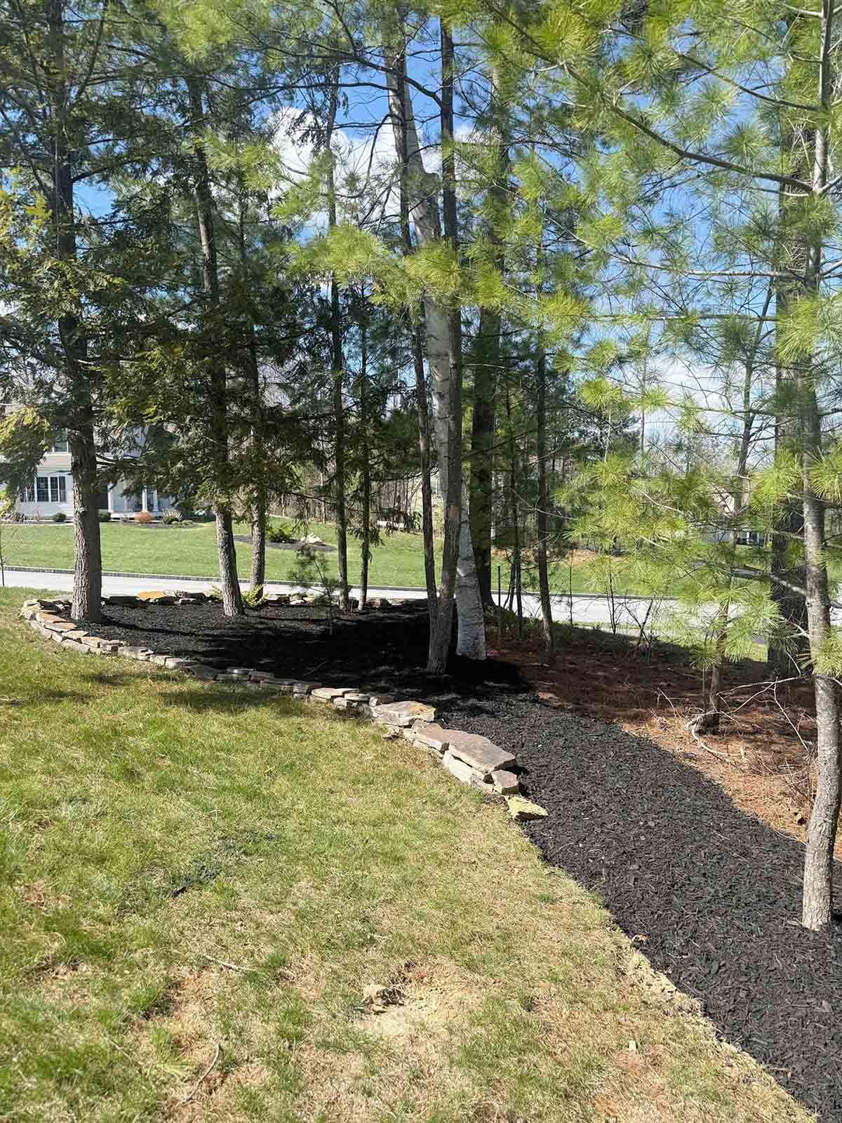 Wooded yard with young trees, a stone border, and a mulch bed beside a grassy lawn and street