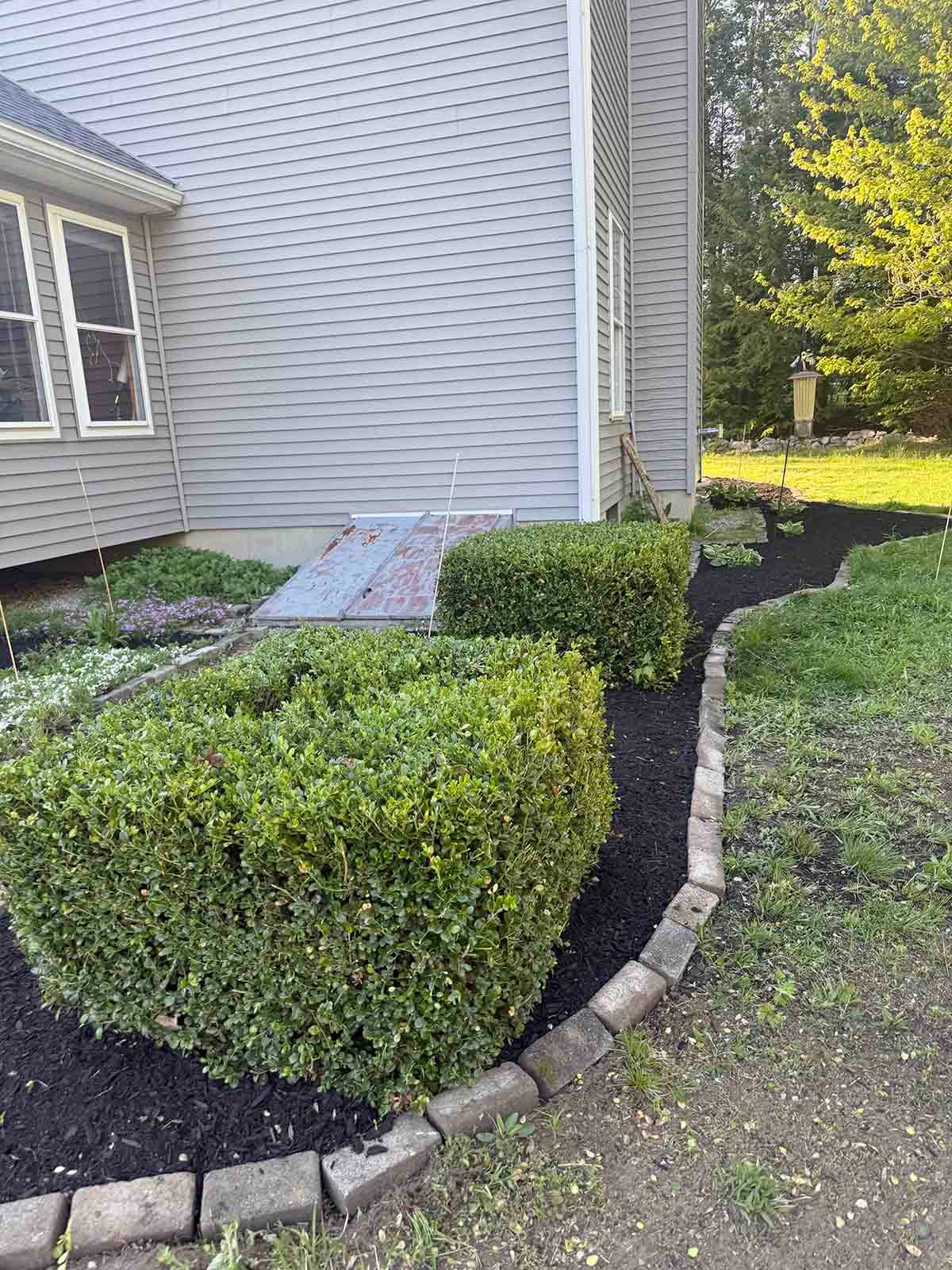 Curved front yard bed with trimmed green shrubs beside a house and gravel path