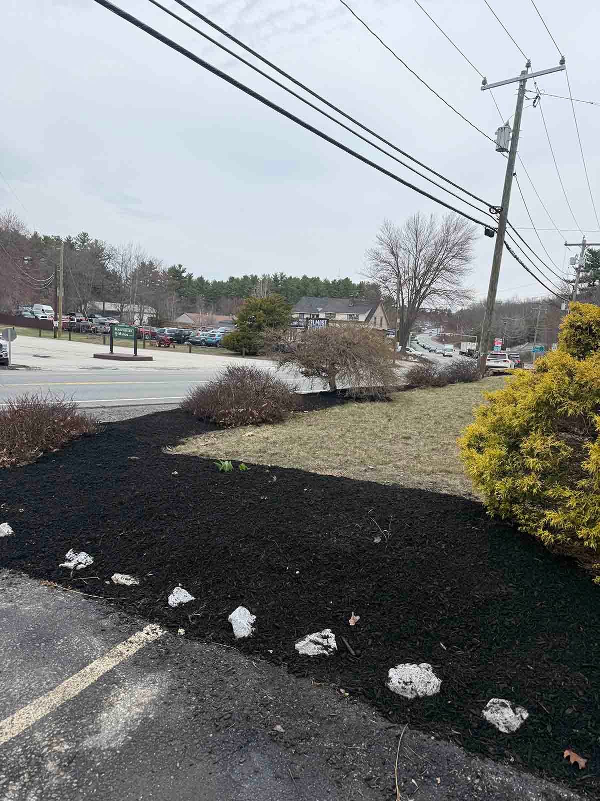 Landscaped roadside with black mulch, shrubs, and utility poles beside a snowy parking lot