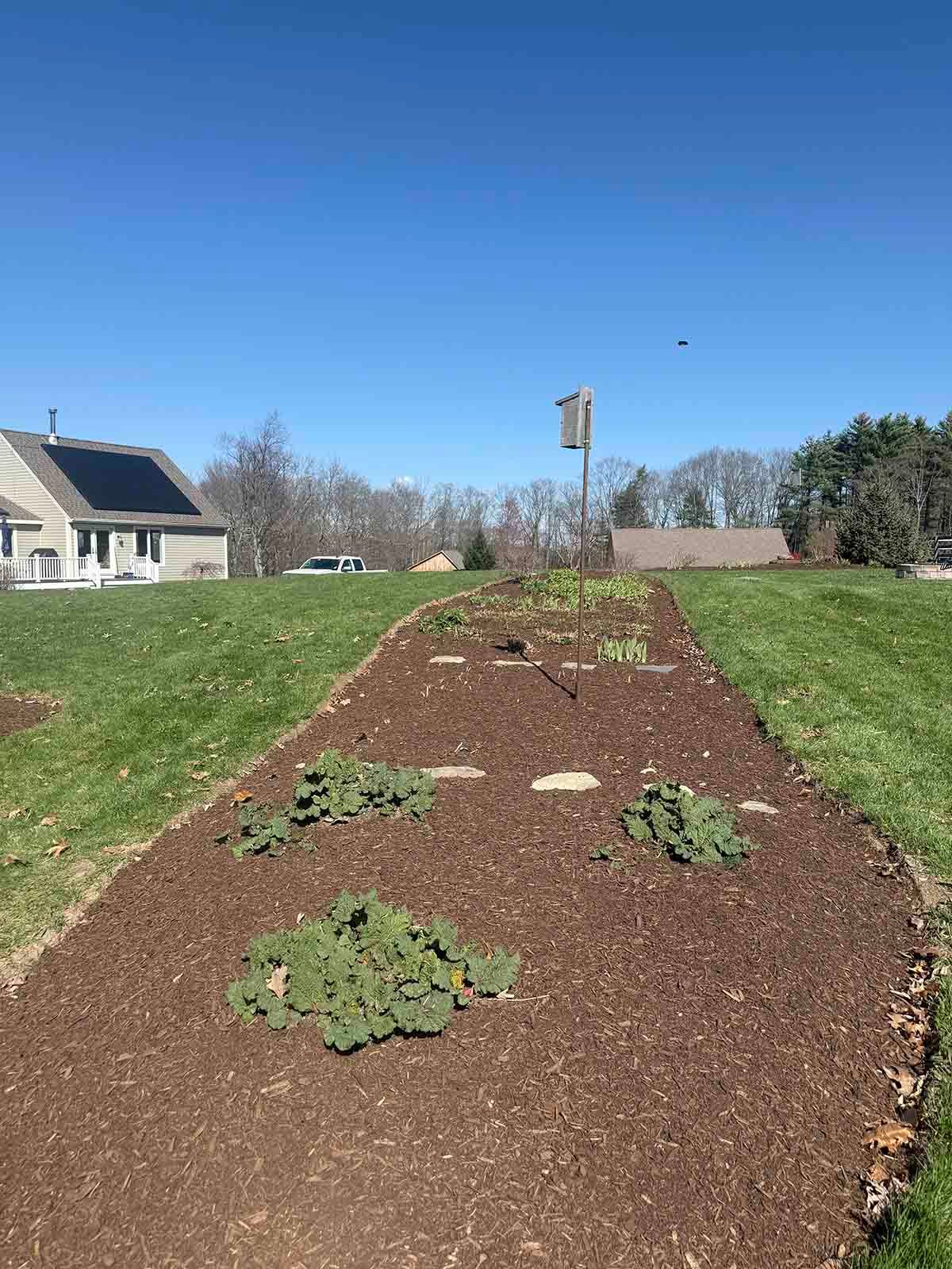 Freshly mulched garden bed with small plants in a suburban yard under a clear blue sky
