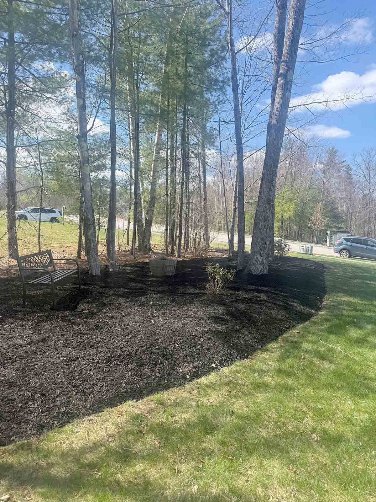 Tree-lined grassy yard with a mulched bed, a road on the right, and a clear blue sky above.