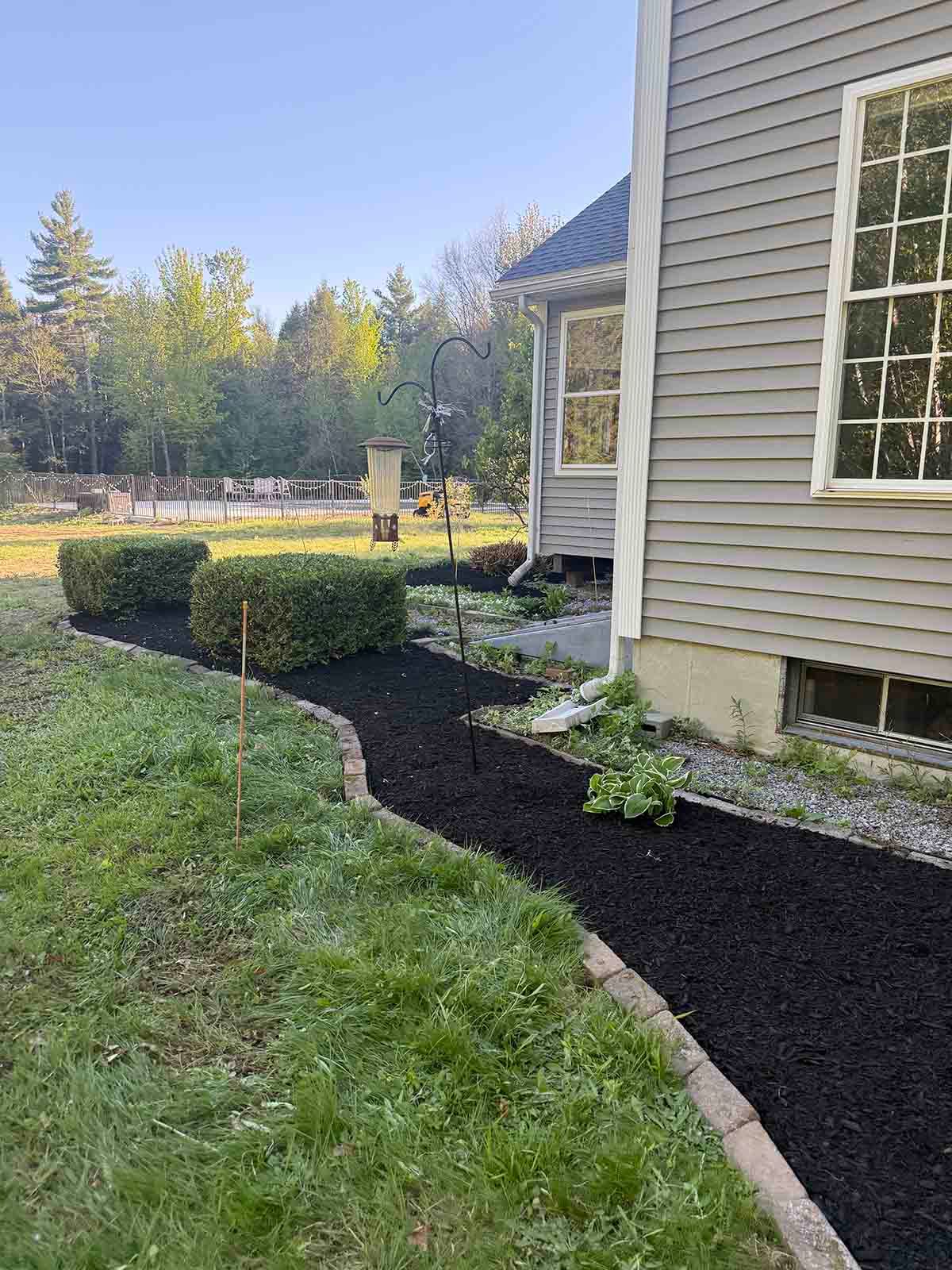 Landscaped side yard with black mulch beds, trimmed hedges, and a house exterior beside a grassy lawn