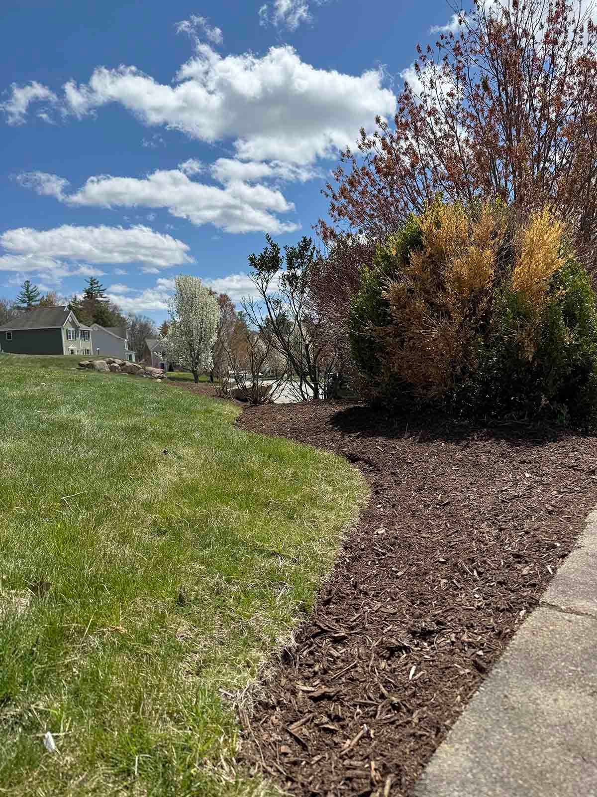Mulched garden bed curving along a sidewalk under a bright blue sky with clouds, beside a grassy slope