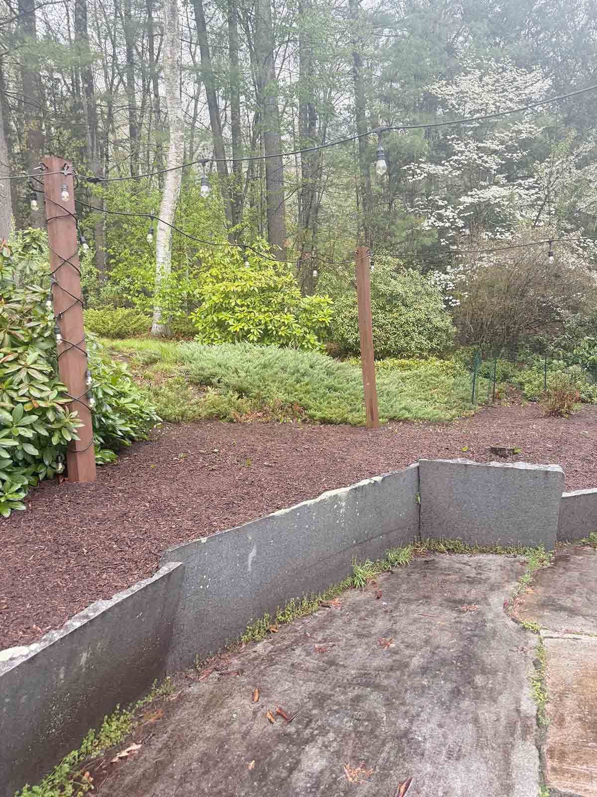 Wooded garden with a mossy stone patio and dark retaining wall, surrounded by trees and shrubs.