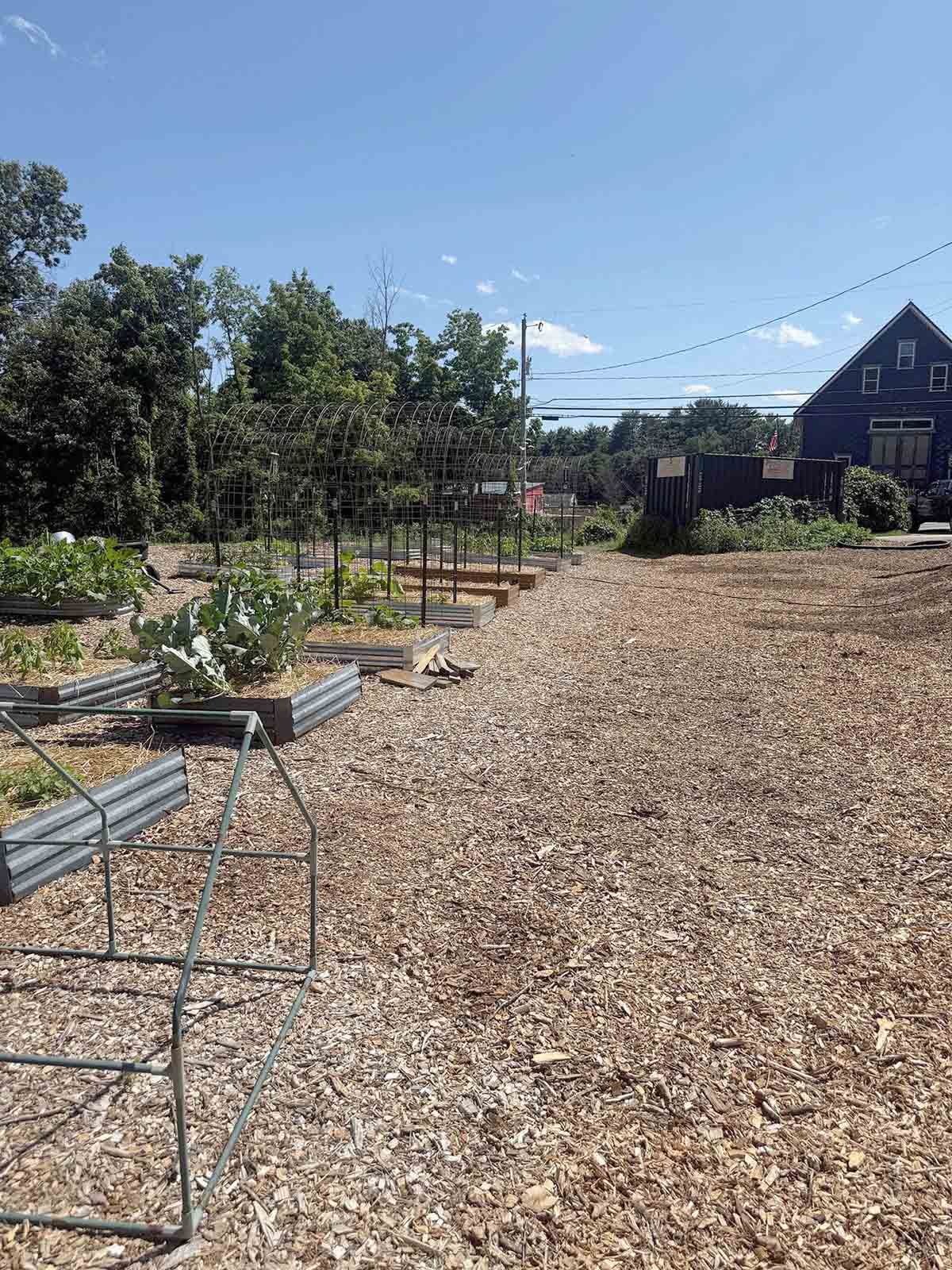 Woodchip-covered garden path beside raised beds, trees, and a house under a blue sky.