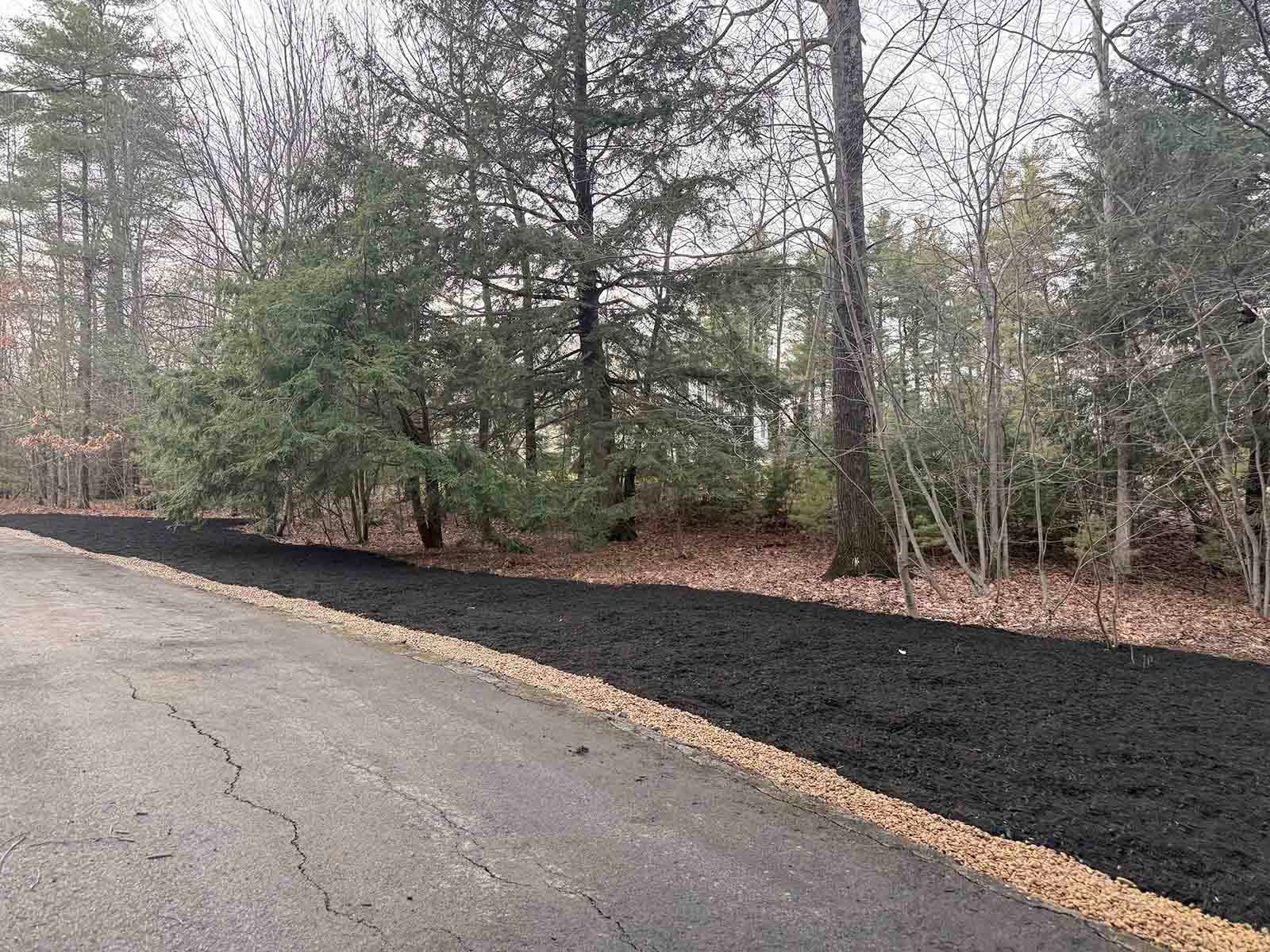 Paved road beside a wooded area with a long strip of fresh black mulch along the edge