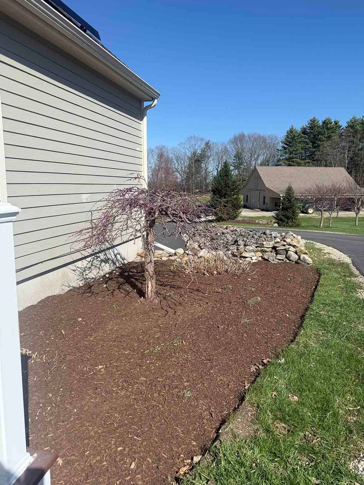 Landscaped yard with a small tree, mulch bed, rocks, green lawn, and house exterior under a blue sky