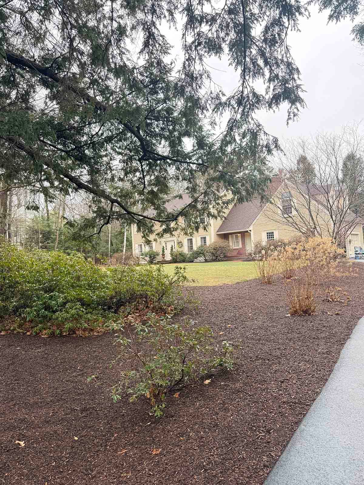 Tree-lined suburban yard with shrubs, a beige house, and a wet driveway on a cloudy day