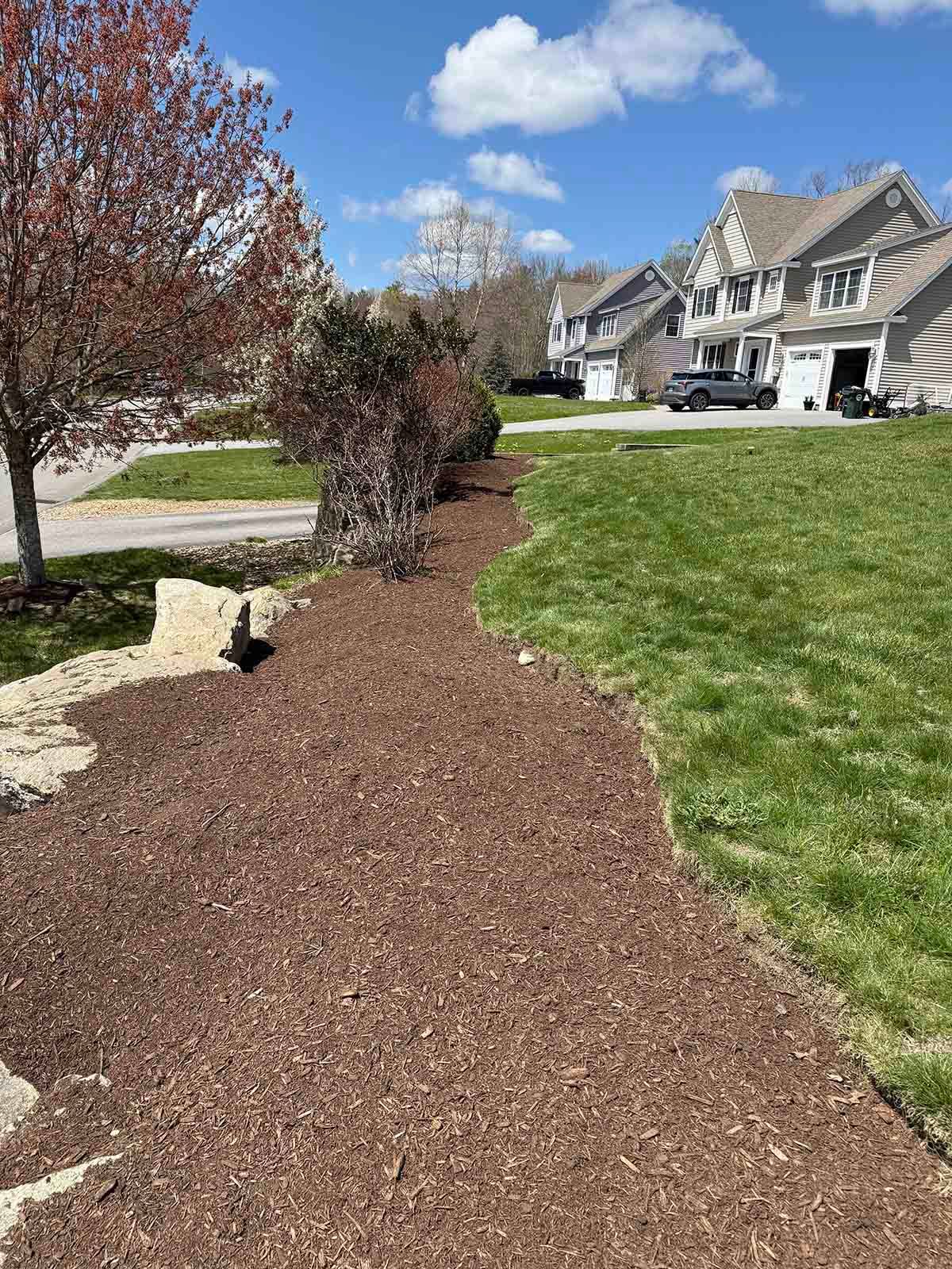 Mulched landscaping bed along a suburban lawn with trees and houses under a blue sky