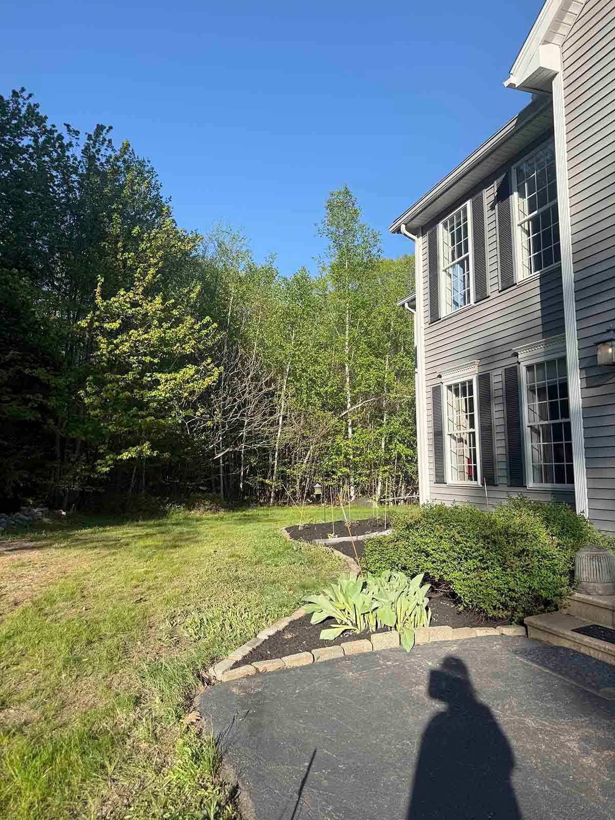Sunlit house exterior with white siding, lawn, shrubs, and trees beside a paved patio