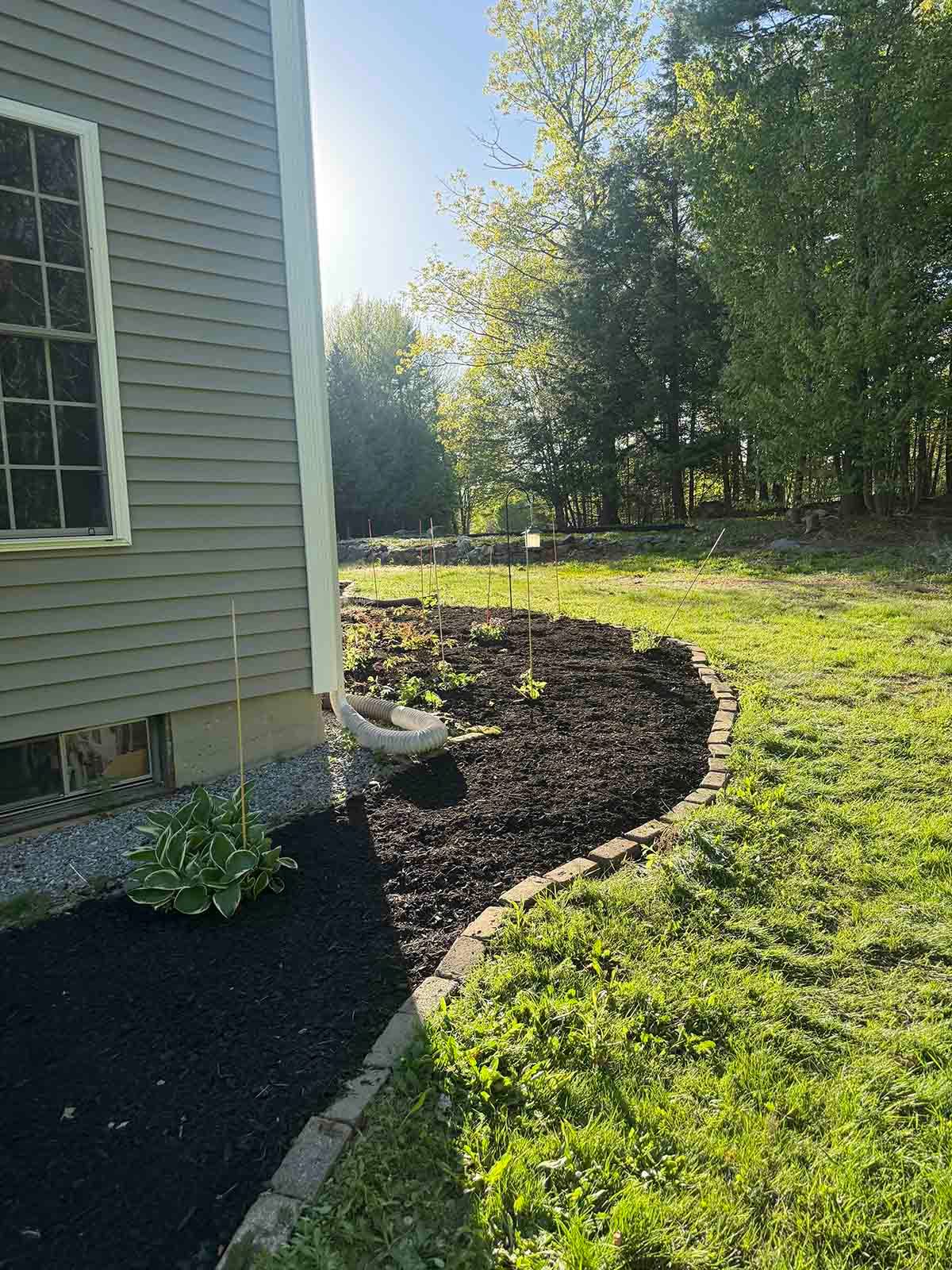 Mulched garden bed curving beside a house, with green lawn and trees in sunlight.