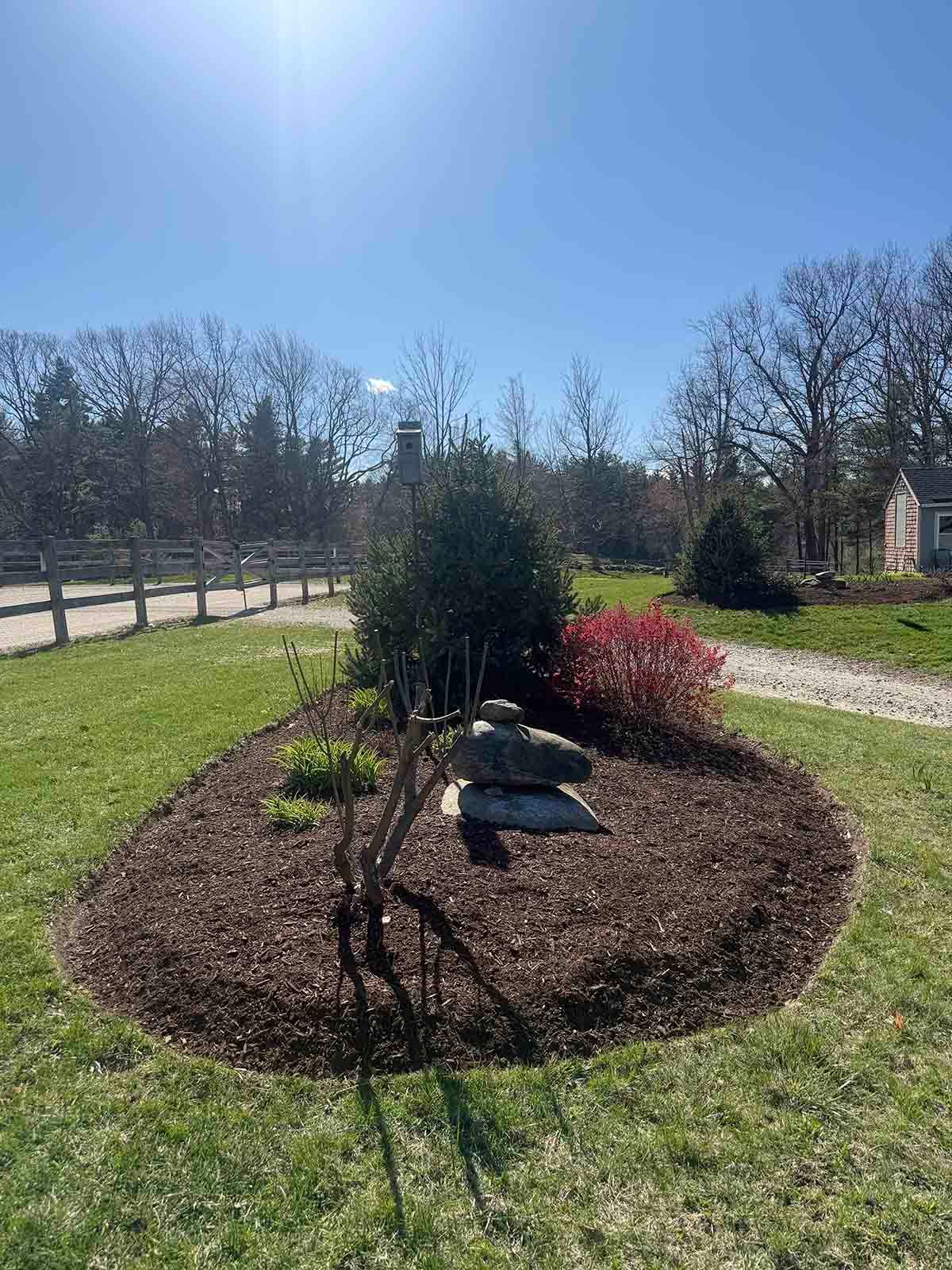 Small landscaped garden bed with shrubs and stepping stones in a sunny park.
