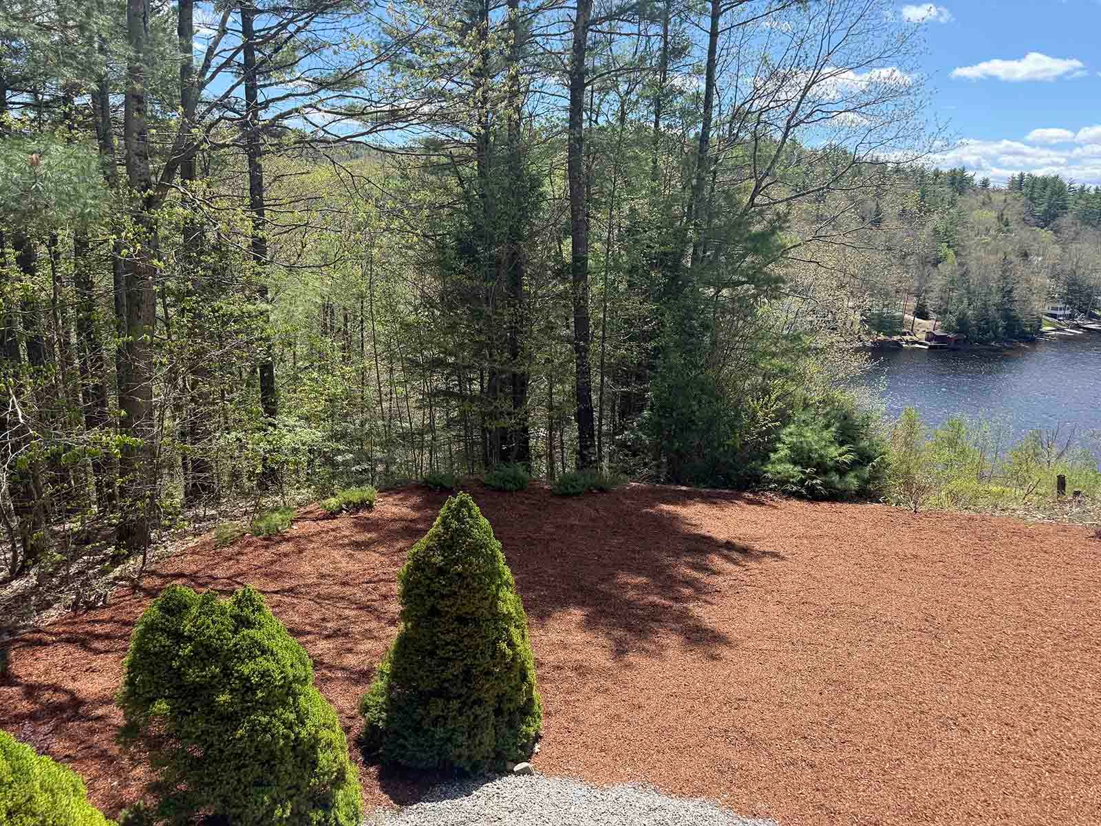 Wooded lakeside landscape with two small evergreen shrubs and a red gravel clearing under a blue sky