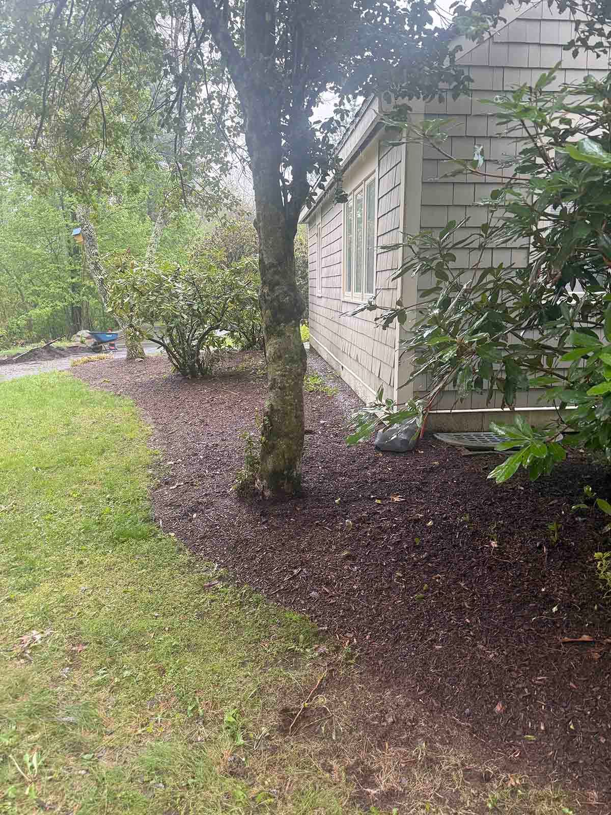 Side yard with a tree, shrubs, and mulch beside a light-colored house.