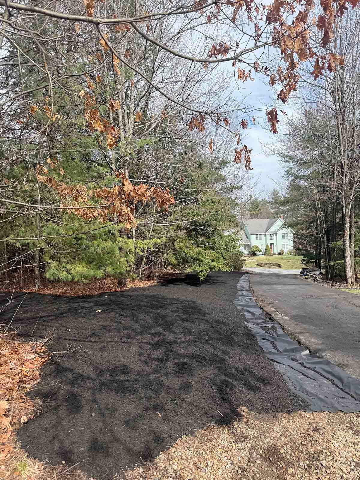 Wet driveway beside a wooded yard with a small white house in the distance