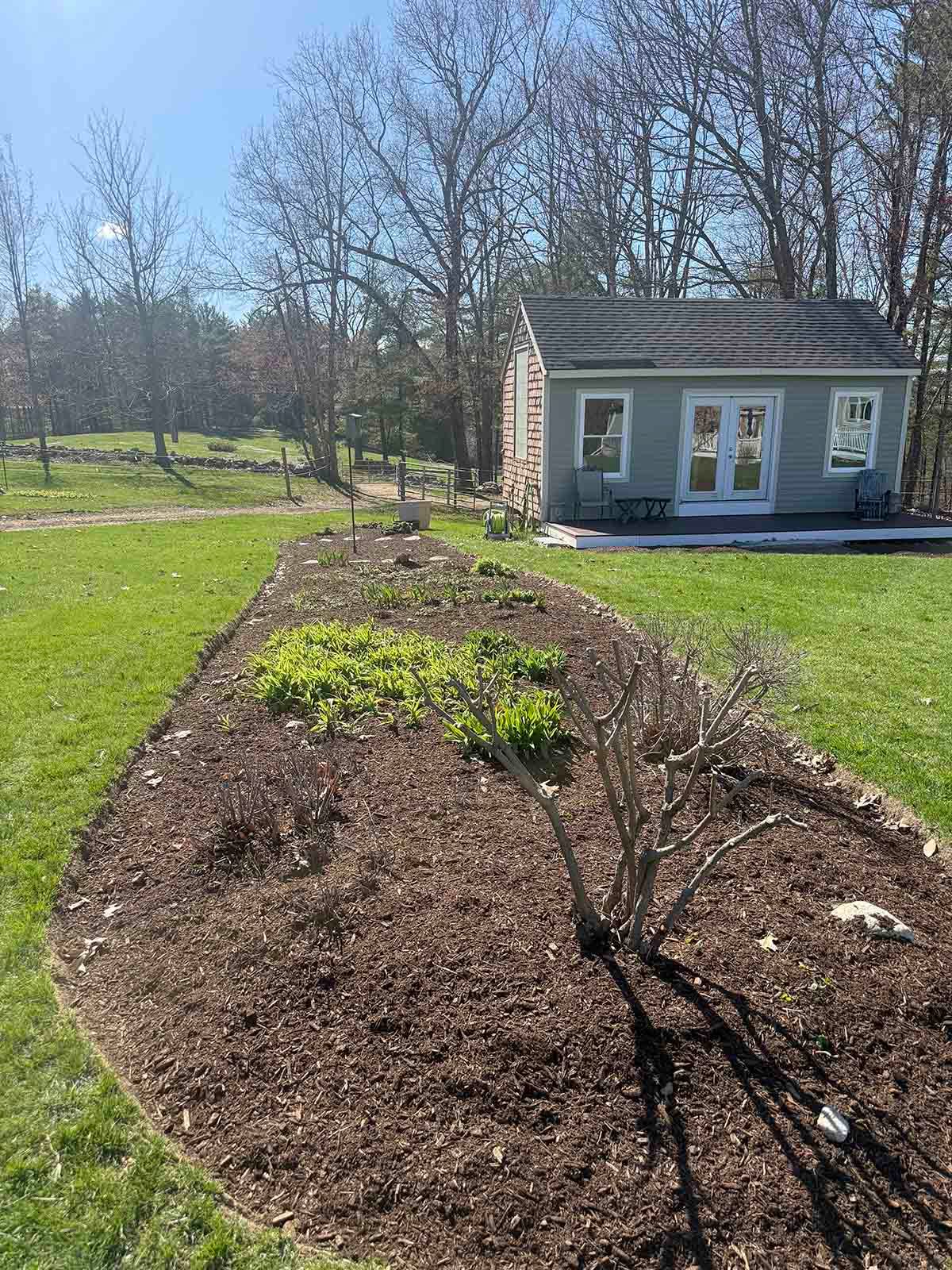 A small garden bed with young plants beside a gray shed on a sunny lawn.