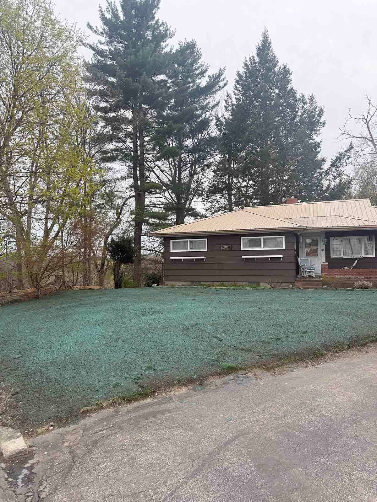 Small brown house with a teal front yard, tall trees, and a cloudy sky beside a paved road.