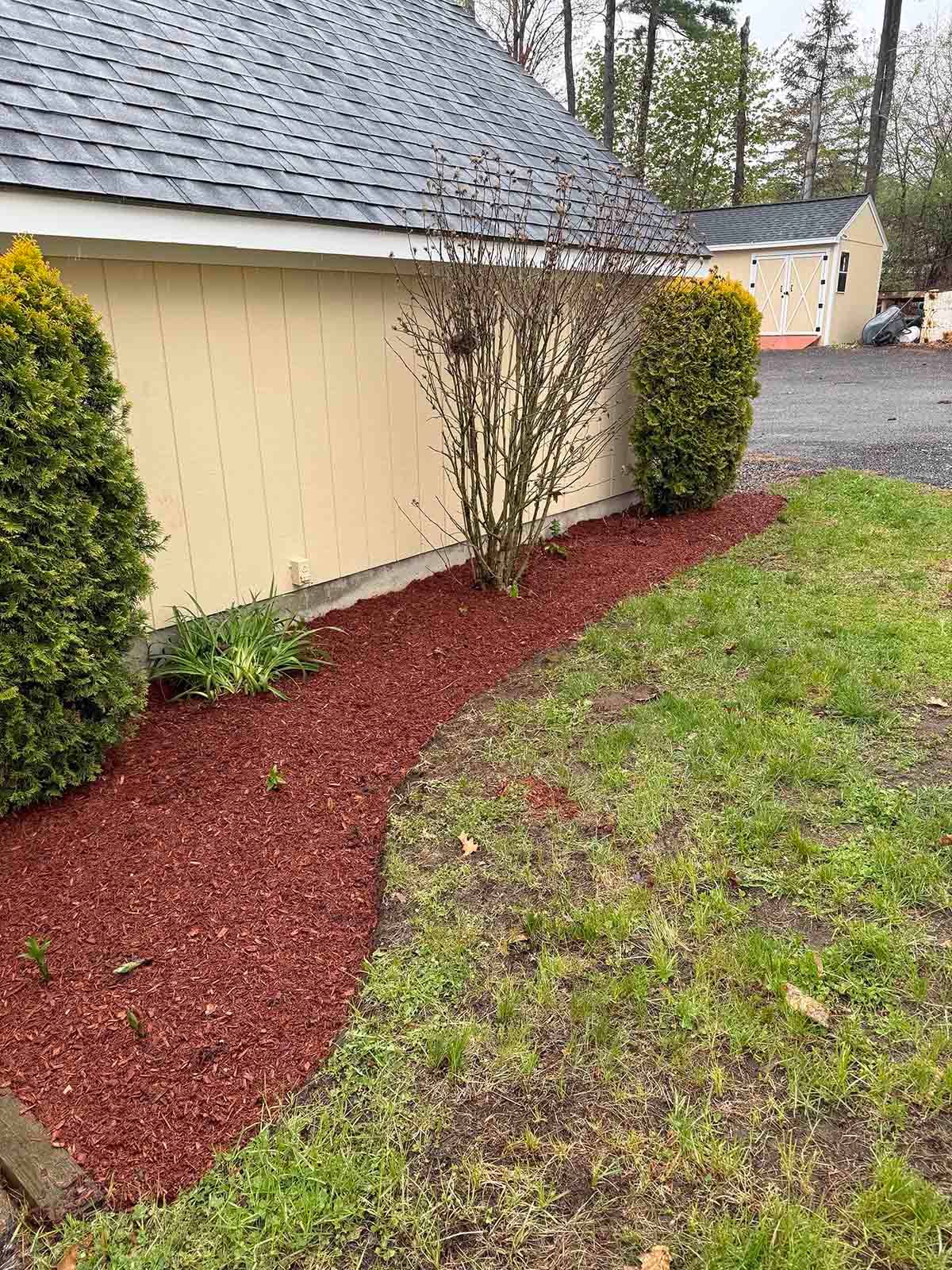Mulched landscaping bed with shrubs beside a beige house and driveway