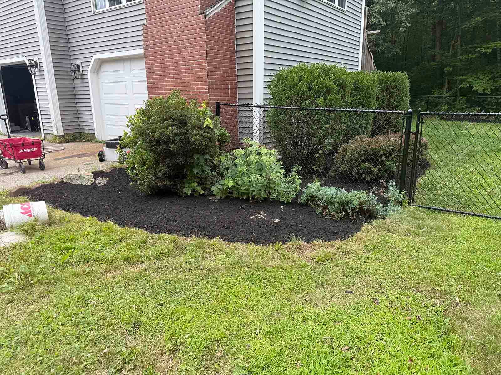 Front yard flower bed with shrubs and mulch beside a brick townhouse and lawn