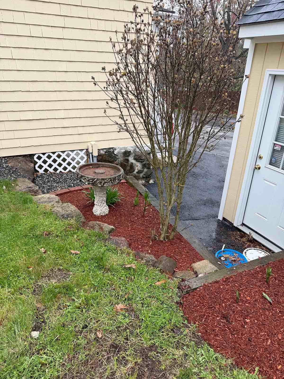 Front yard landscaping with red mulch, a birdbath, a small tree, and a white house exterior by a front door