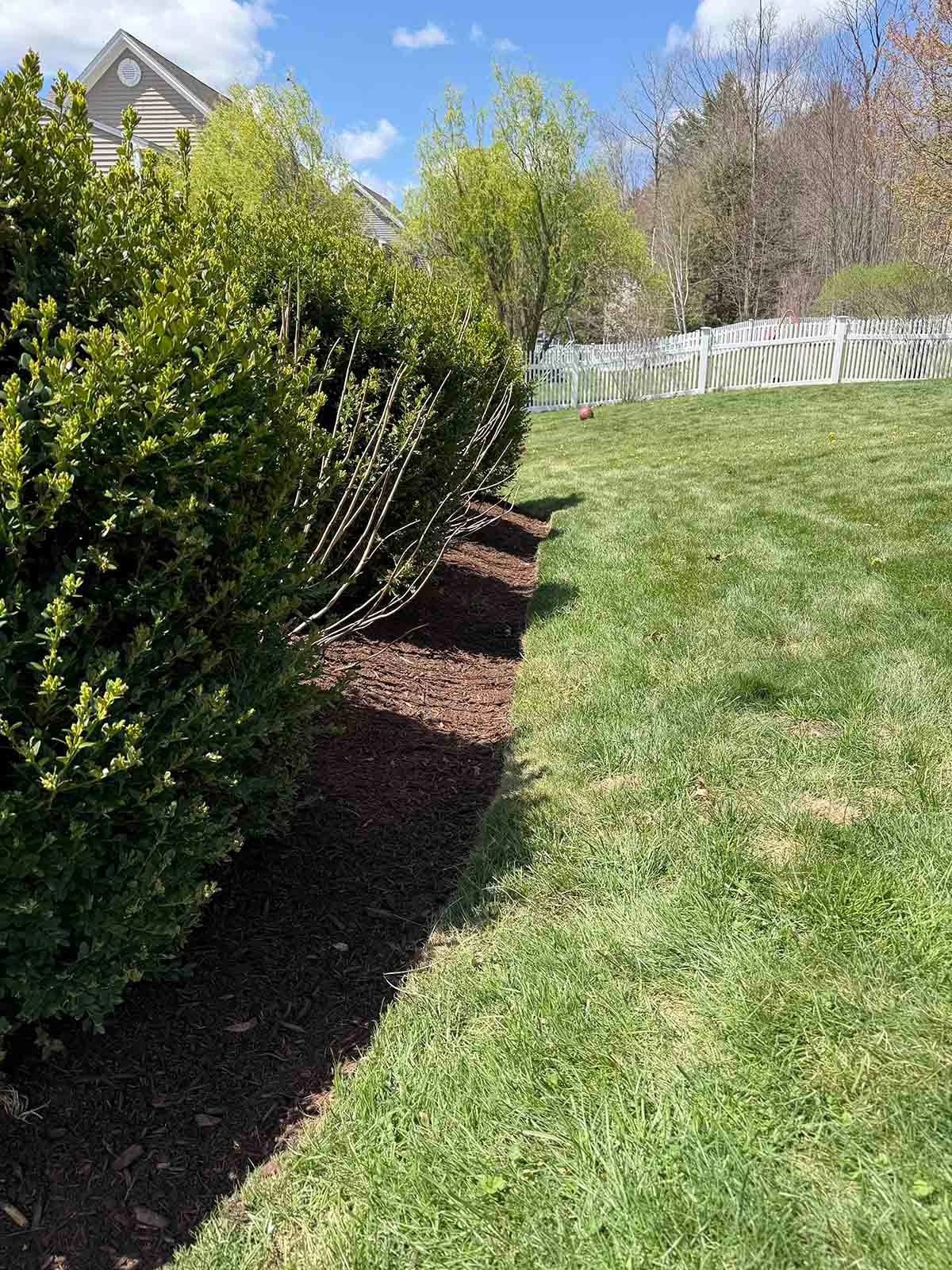 Sloped backyard with green lawn, shrubs, and a white fence under a blue sky