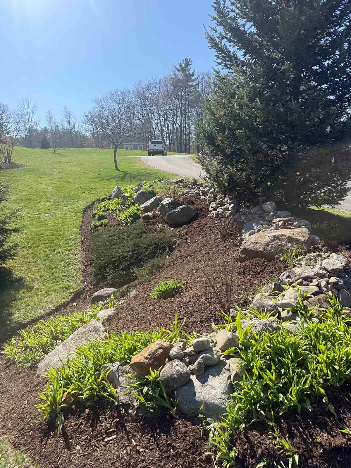 Rocky landscaped hillside with shrubs, trees, and a grassy lawn under a clear blue sky
