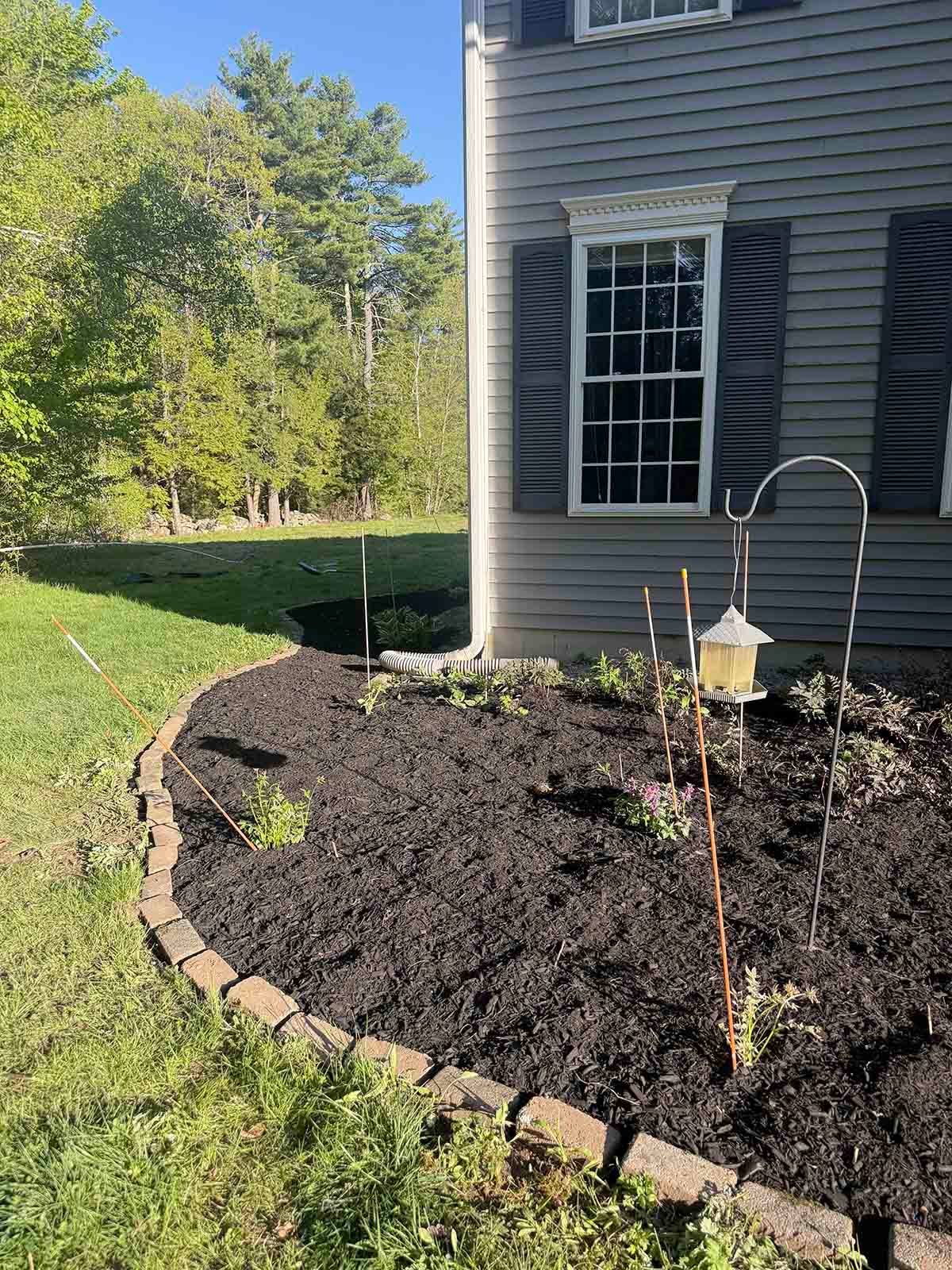 Curved mulched garden bed with young plants beside a gray house and window, bordered by stones.