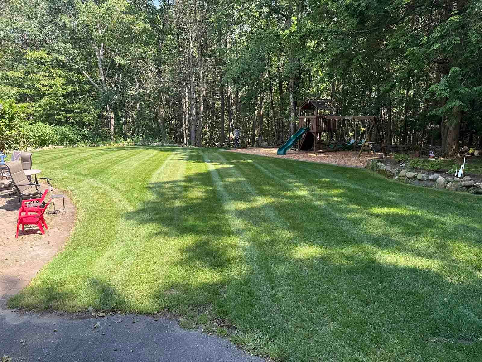 Backyard lawn with a small slide, red chairs, and trees in the background.