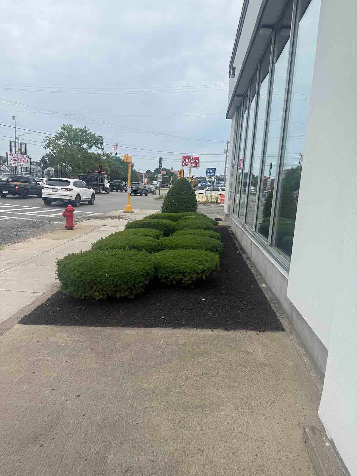 Sidewalk beside a glass building with trimmed green shrubs and a parking lot under an overcast sky