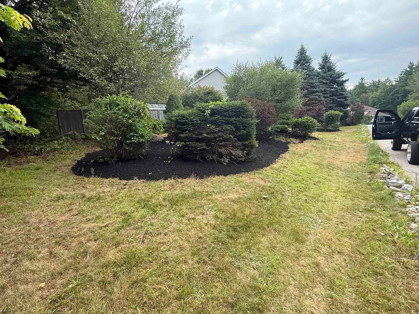 Landscaped yard with trimmed shrubs, a tree, and a grassy lawn beside a driveway and parked car.