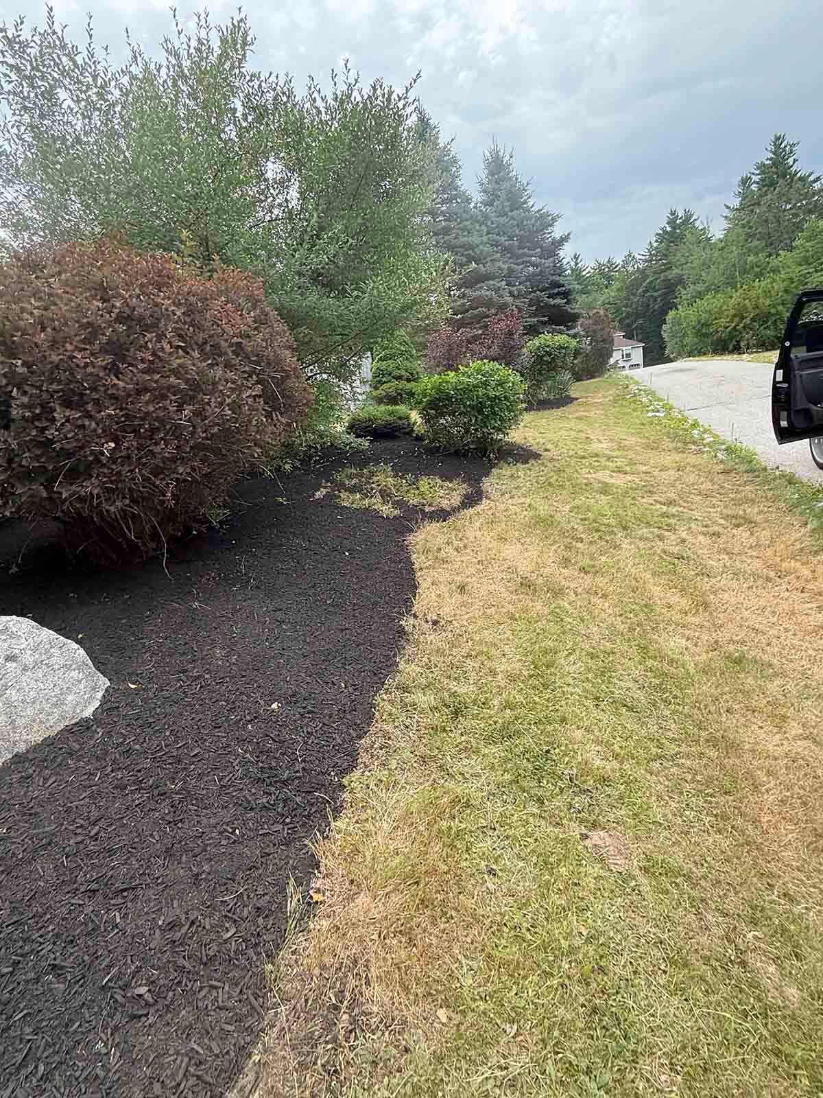 Landscaped yard with shrubs, black mulch bed, mown grass, and a parked vehicle along a driveway.