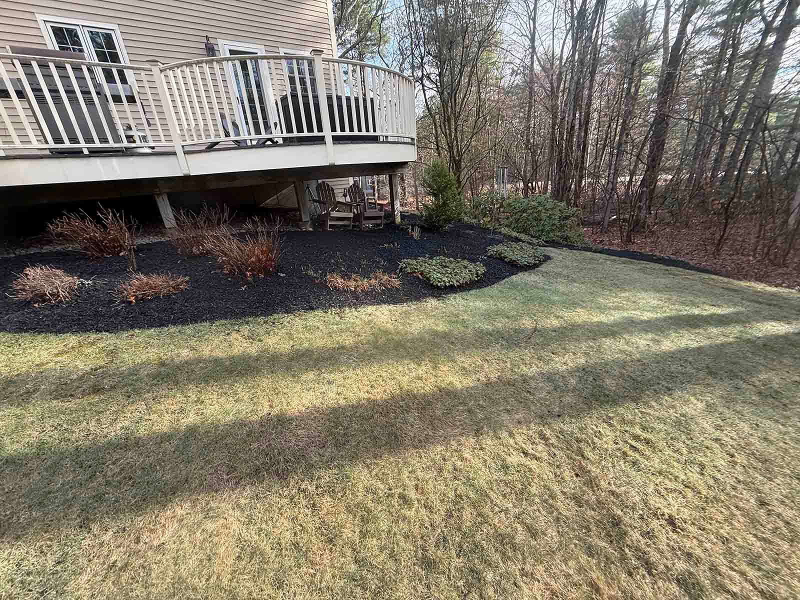 Backyard lawn beside a house deck, with mulch beds and trees in the background.