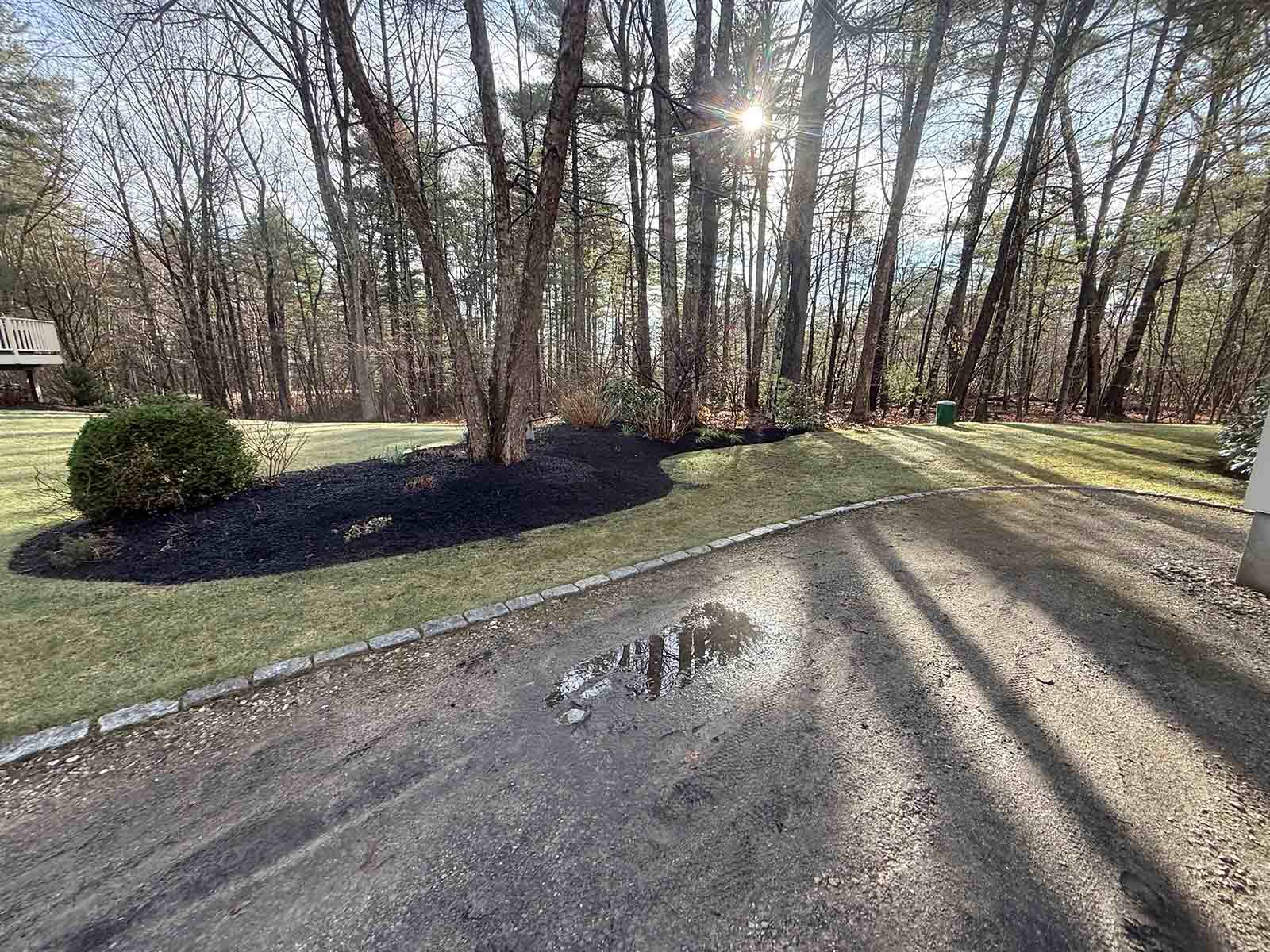 Sunlit wooded driveway with trees, grass, and long shadows across the pavement