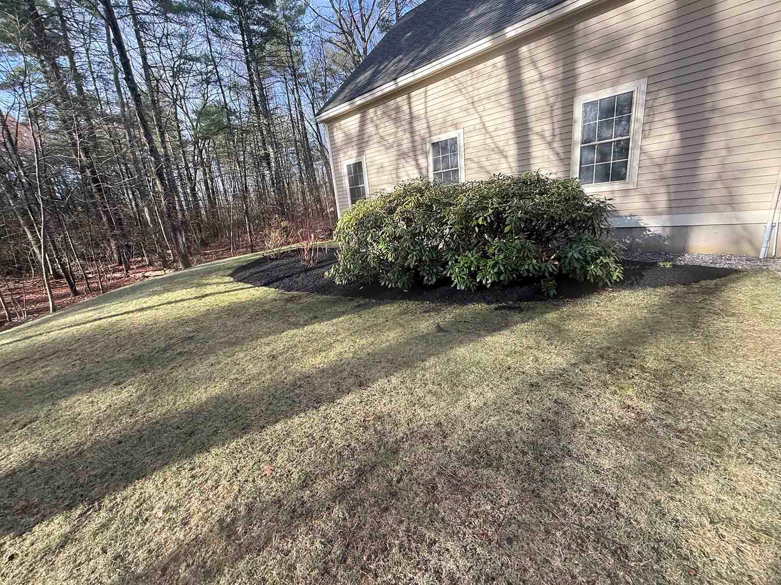 House side yard with sloping grass, shrubs, and trees in winter light