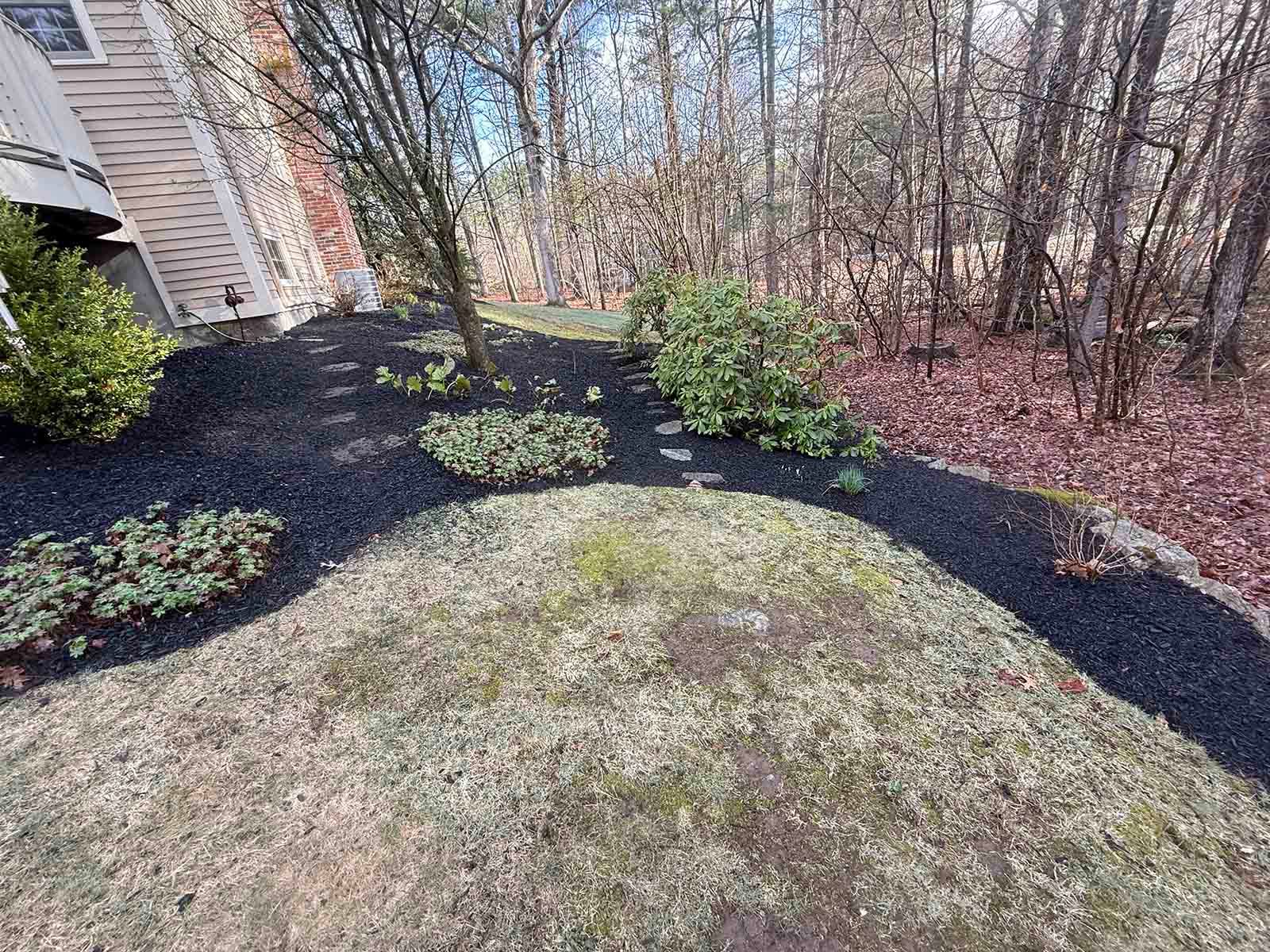 Mulched garden bed with shrubs and a small mound beside a house and bare trees